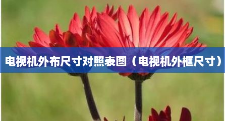 电视机外布尺寸对照表图（电视机外框尺寸）