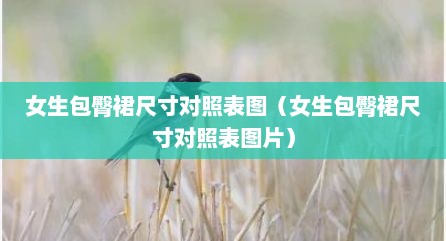 女生包臀裙尺寸对照表图（女生包臀裙尺寸对照表图片）