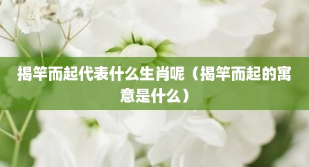 揭竿而起代表什么生肖呢（揭竿而起的寓意是什么）