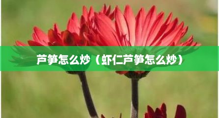 芦笋怎么炒（虾仁芦笋怎么炒）