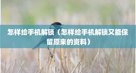 怎样给手机解锁（怎样给手机解锁又能保留原来的资料）