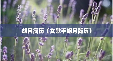 胡月简历（女歌手胡月简历）