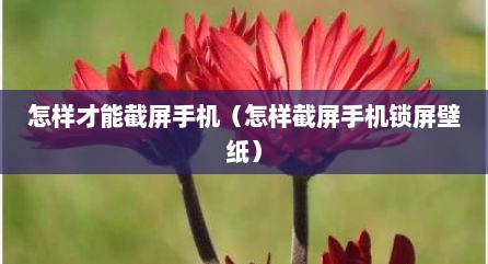 怎样才能截屏手机（怎样截屏手机锁屏壁纸）