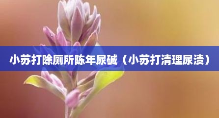 小苏打除厕所陈年尿碱（小苏打清理尿渍）