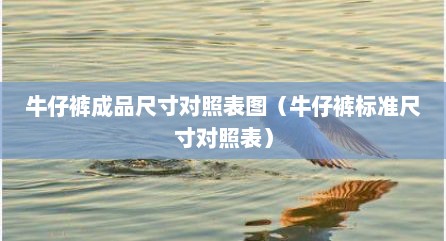 牛仔裤成品尺寸对照表图（牛仔裤标准尺寸对照表）