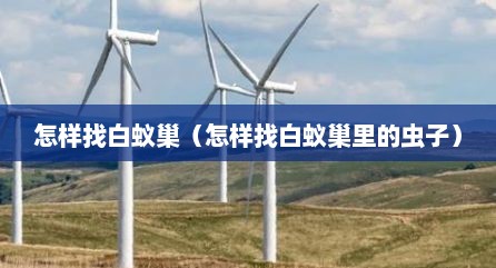 怎样找白蚁巢（怎样找白蚁巢里的虫子）
