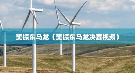 樊振东马龙（樊振东马龙决赛视频）