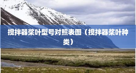 搅拌器桨叶型号对照表图（搅拌器桨叶种类）