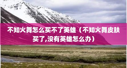 不知火舞怎么买不了英雄（不知火舞皮肤买了,没有英雄怎么办）