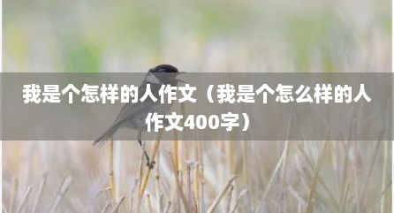 我是个怎样的人作文（我是个怎么样的人作文400字）