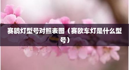赛鸥灯型号对照表图（赛欧车灯是什么型号）