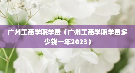广州工商学院学费（广州工商学院学费多少钱一年2023）