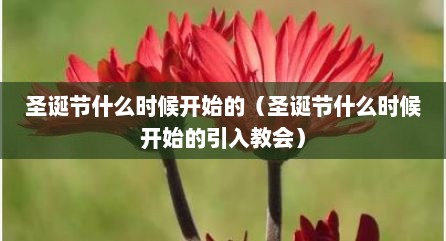 圣诞节什么时候开始的（圣诞节什么时候开始的引入教会）