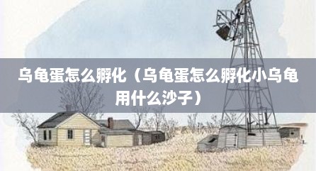 乌龟蛋怎么孵化（乌龟蛋怎么孵化小乌龟用什么沙子）