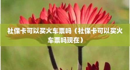 社保卡可以买火车票吗（社保卡可以买火车票吗现在）