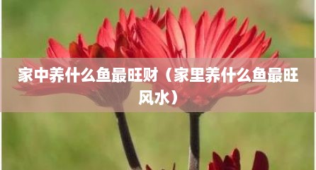 家中养什么鱼最旺财（家里养什么鱼最旺风水）