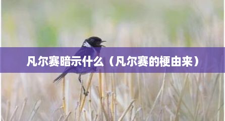 凡尔赛暗示什么（凡尔赛的梗由来）