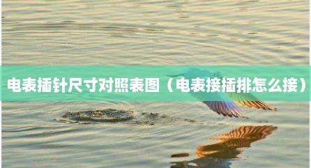 电表插针尺寸对照表图（电表接插排怎么接）