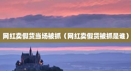 网红卖假货当场被抓（网红卖假货被抓是谁）