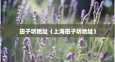 田子坊地址（上海田子坊地址）