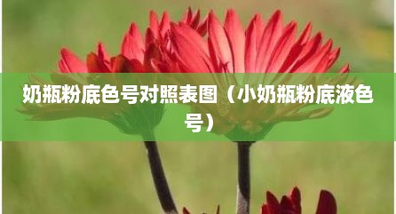 奶瓶粉底色号对照表图（小奶瓶粉底液色号）