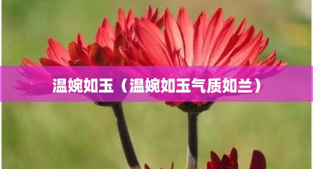 温婉如玉（温婉如玉气质如兰）