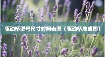 驱动桥型号尺寸对照表图（驱动桥总成图）