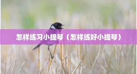 怎样练习小提琴（怎样练好小提琴）