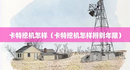 卡特挖机怎样（卡特挖机怎样辨别年限）