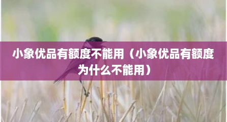 小象优品有额度不能用（小象优品有额度为什么不能用）