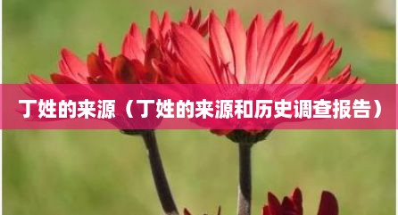 丁姓的来源（丁姓的来源和历史调查报告）