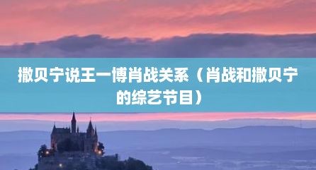 撒贝宁说王一博肖战关系（肖战和撒贝宁的综艺节目）