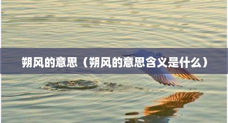 朔风的意思（朔风的意思含义是什么）