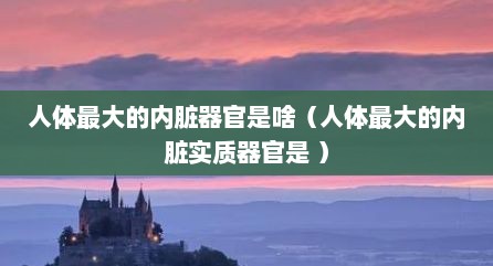 人体最大的内脏器官是啥（人体最大的内脏实质器官是 ）
