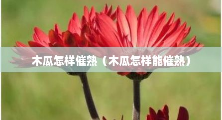 木瓜怎样催熟（木瓜怎样能催熟）