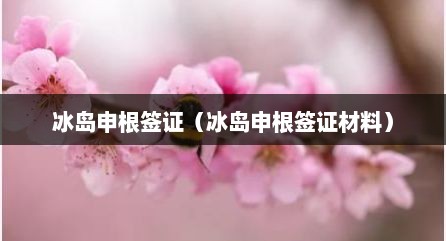 冰岛申根签证（冰岛申根签证材料）