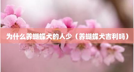 为什么养蝴蝶犬的人少（养蝴蝶犬吉利吗）