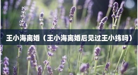 王小海离婚（王小海离婚后见过王小纬吗）