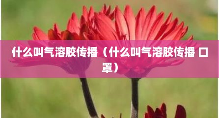 什么叫气溶胶传播（什么叫气溶胶传播 口罩）
