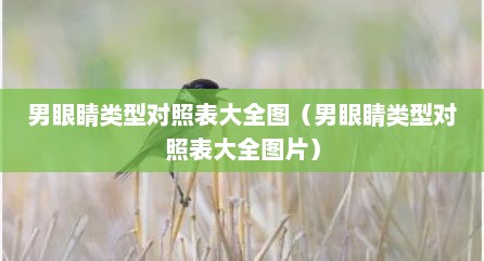 男眼睛类型对照表大全图（男眼睛类型对照表大全图片）