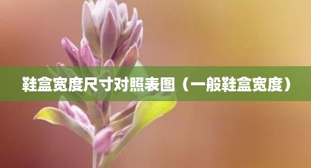 鞋盒宽度尺寸对照表图（一般鞋盒宽度）