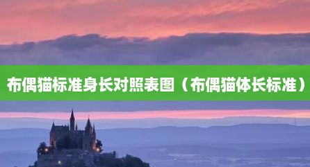 布偶猫标准身长对照表图（布偶猫体长标准）