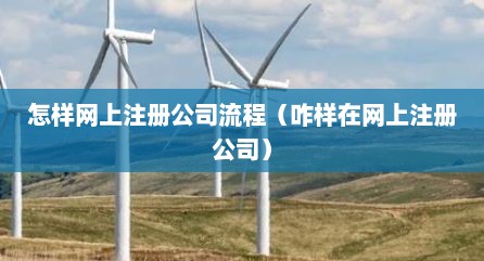 怎样网上注册公司流程（咋样在网上注册公司）