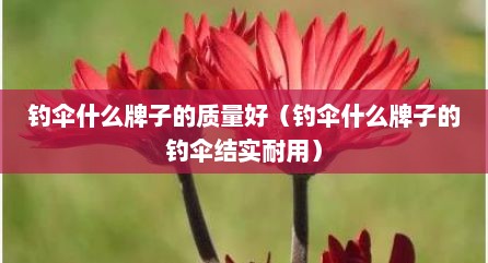 钓伞什么牌子的质量好（钓伞什么牌子的钓伞结实耐用）