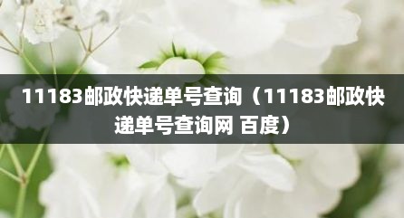 11183邮政快递单号查询（11183邮政快递单号查询网 百度）