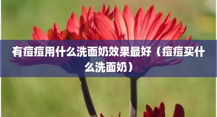 有痘痘用什么洗面奶效果最好（痘痘买什么洗面奶）