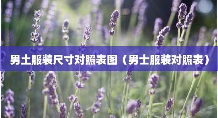男土服装尺寸对照表图（男士服装对照表）