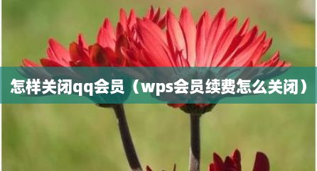 怎样关闭qq会员（wps会员续费怎么关闭）