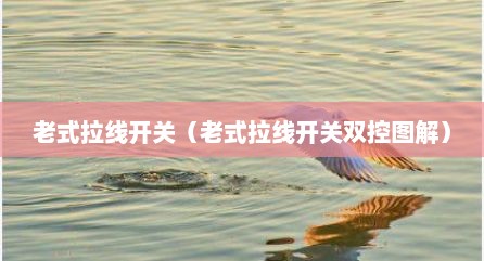 老式拉线开关（老式拉线开关双控图解）