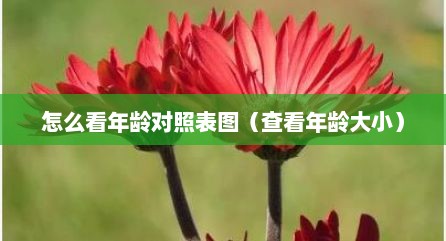 怎么看年龄对照表图（查看年龄大小）